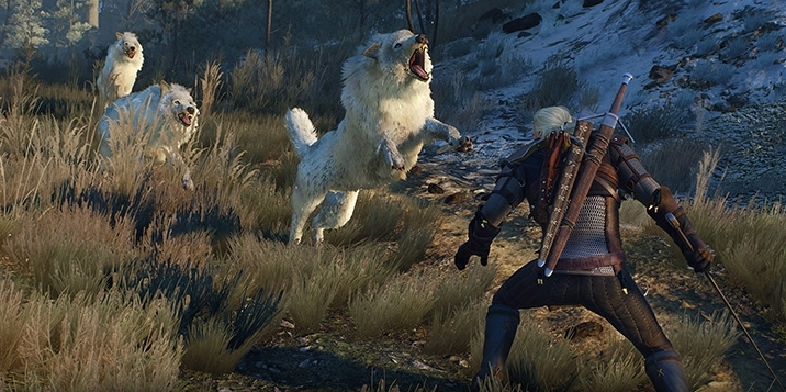 Все, что нужно знать новичку в The Witcher 3: Wild Hunt - Изображение 5 Все, что нужно знать новичку в The Witcher 3: Wild Hunt - Изображение 5